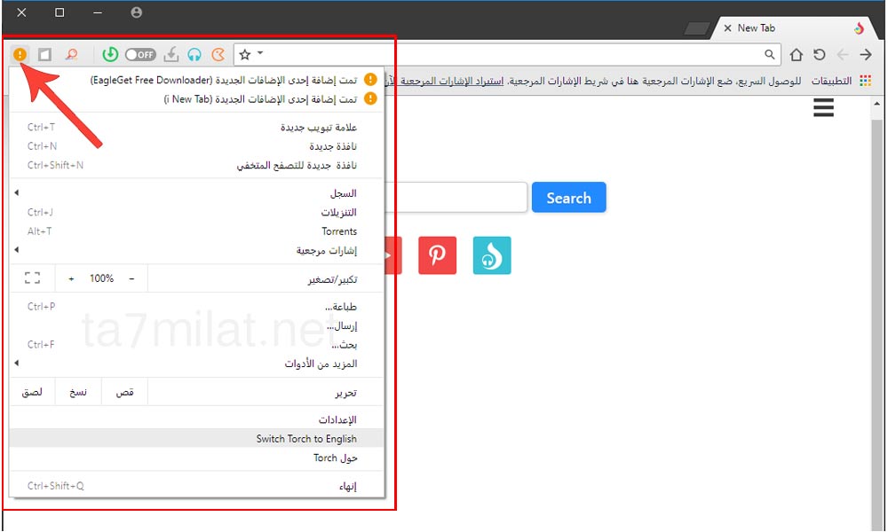 اعدادات متصفح تورش